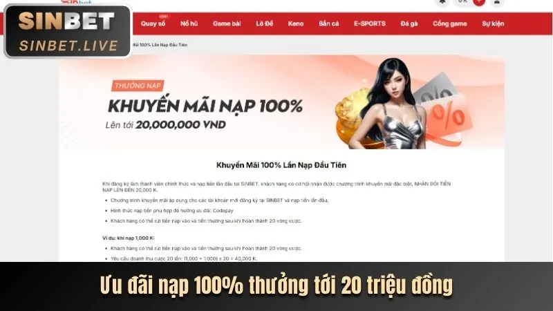 Hoàn trả không giới hạn 2026